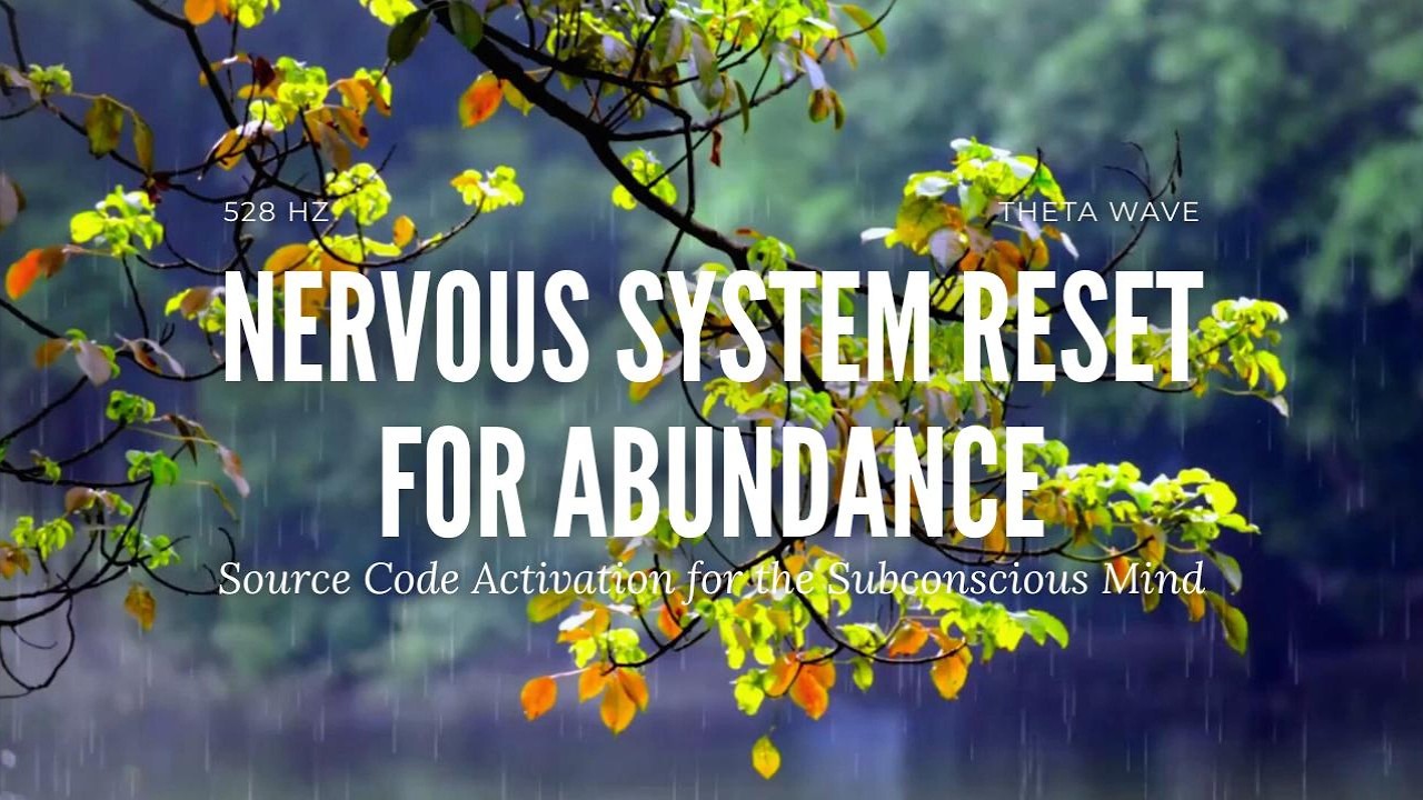 I Am Open. I Receive. | Nervous System Reprogramming | 528Hz Theta Wave Meditation