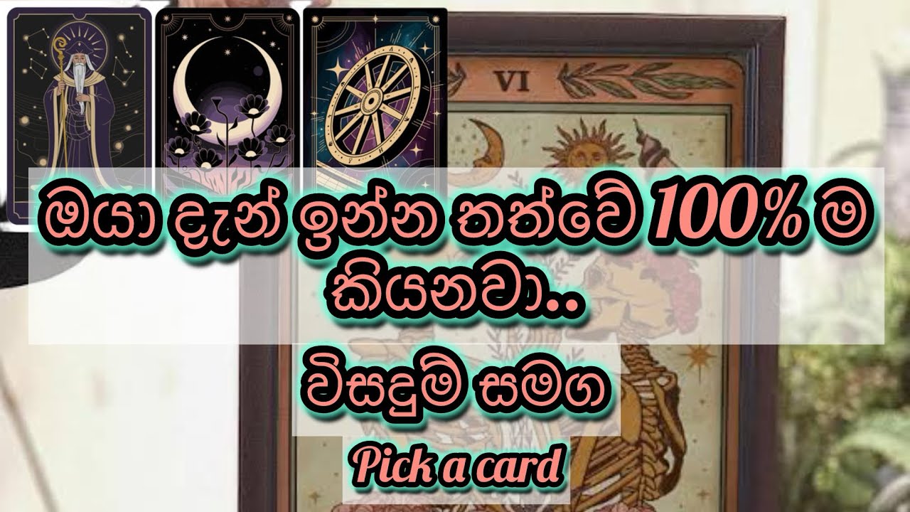 ඔයා දැන් ඉන්න ඕනි මෙහෙමයි| tarrot reading |pick a card