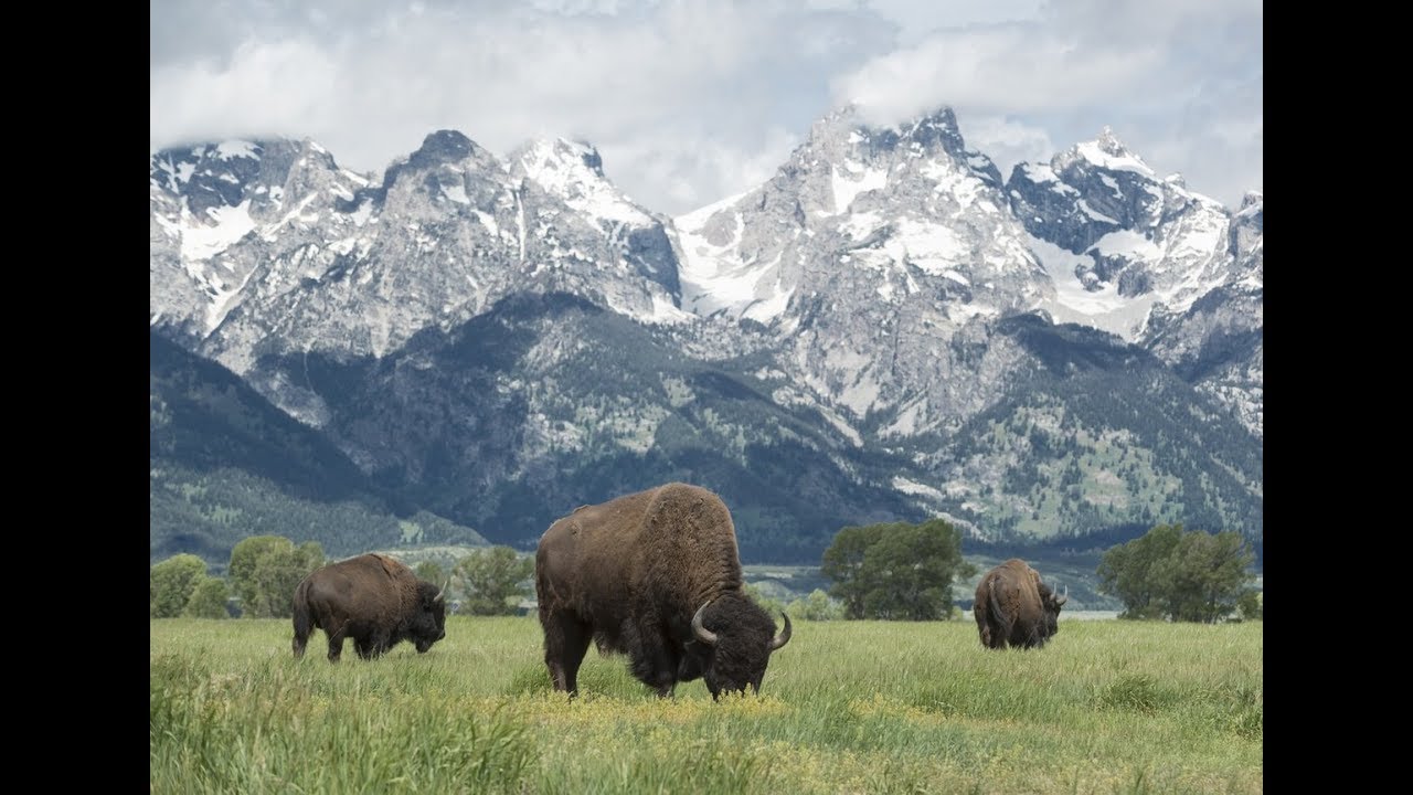 Avventure nel mondo Colorado,S.Dakota,Wyoming,Utah Pistolozzi Marco Parisi Maria Anna e Alvaro