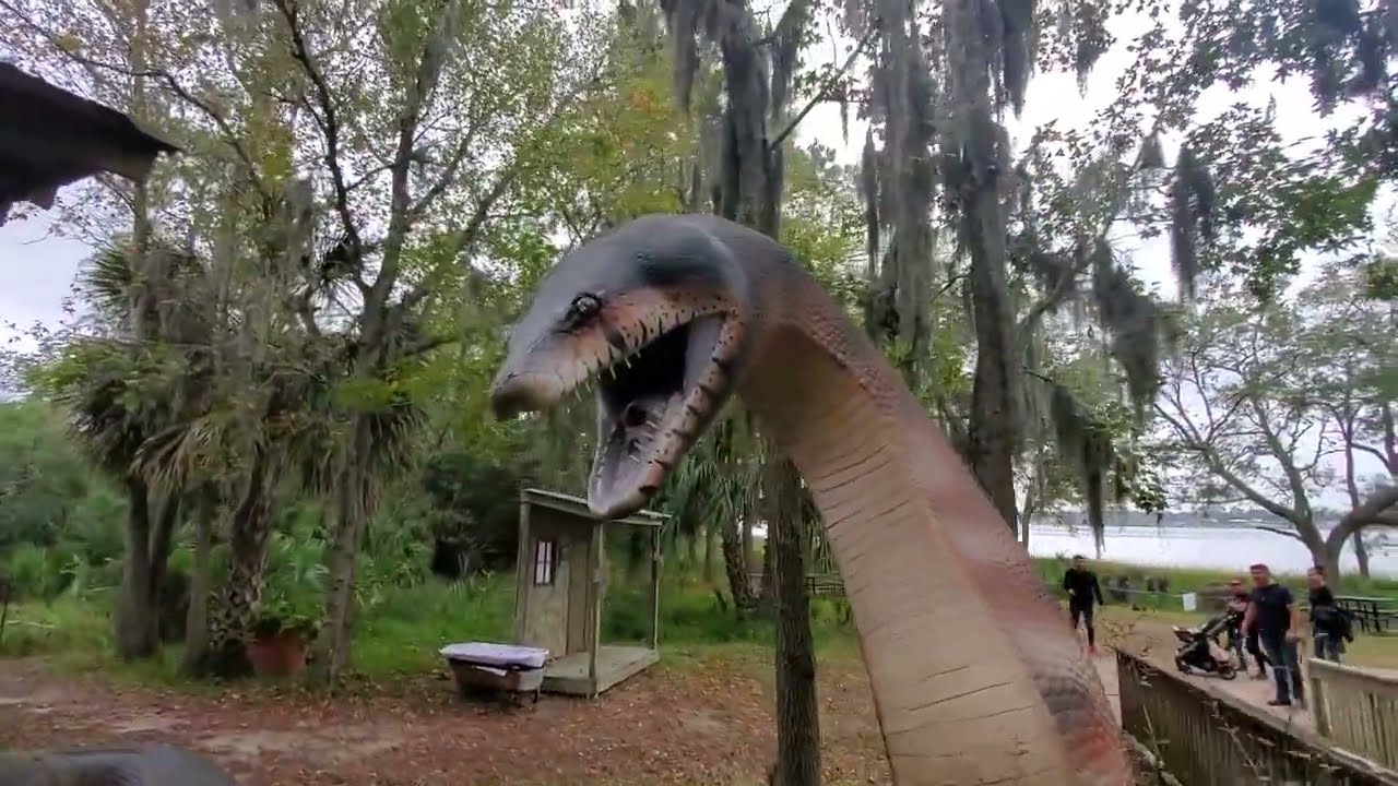 Titanoboa real size full frame video