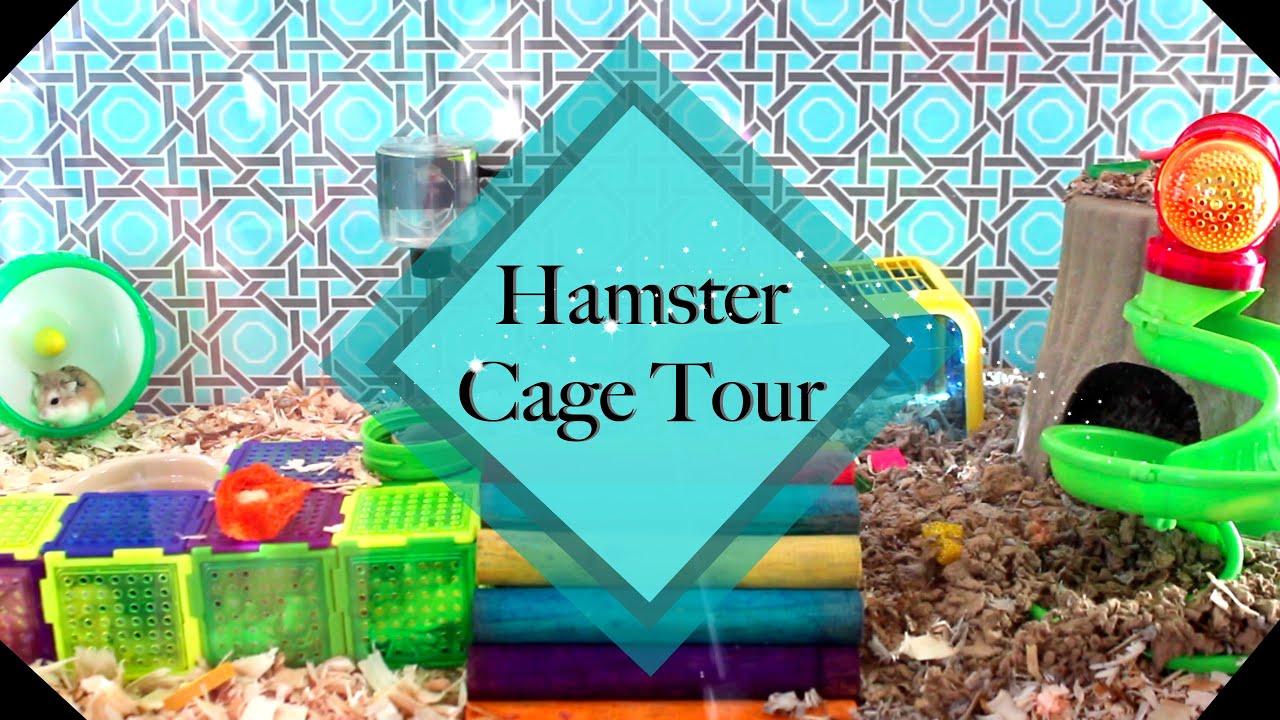Hamster Cage Tour | Saidy