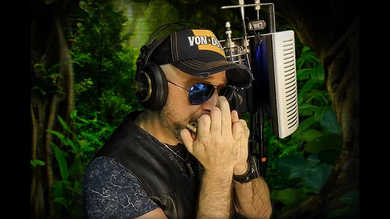The Lion King - Cover Disney - Circle Of Life -  ' Harmonica David Jacomino - Hohner Harmonica