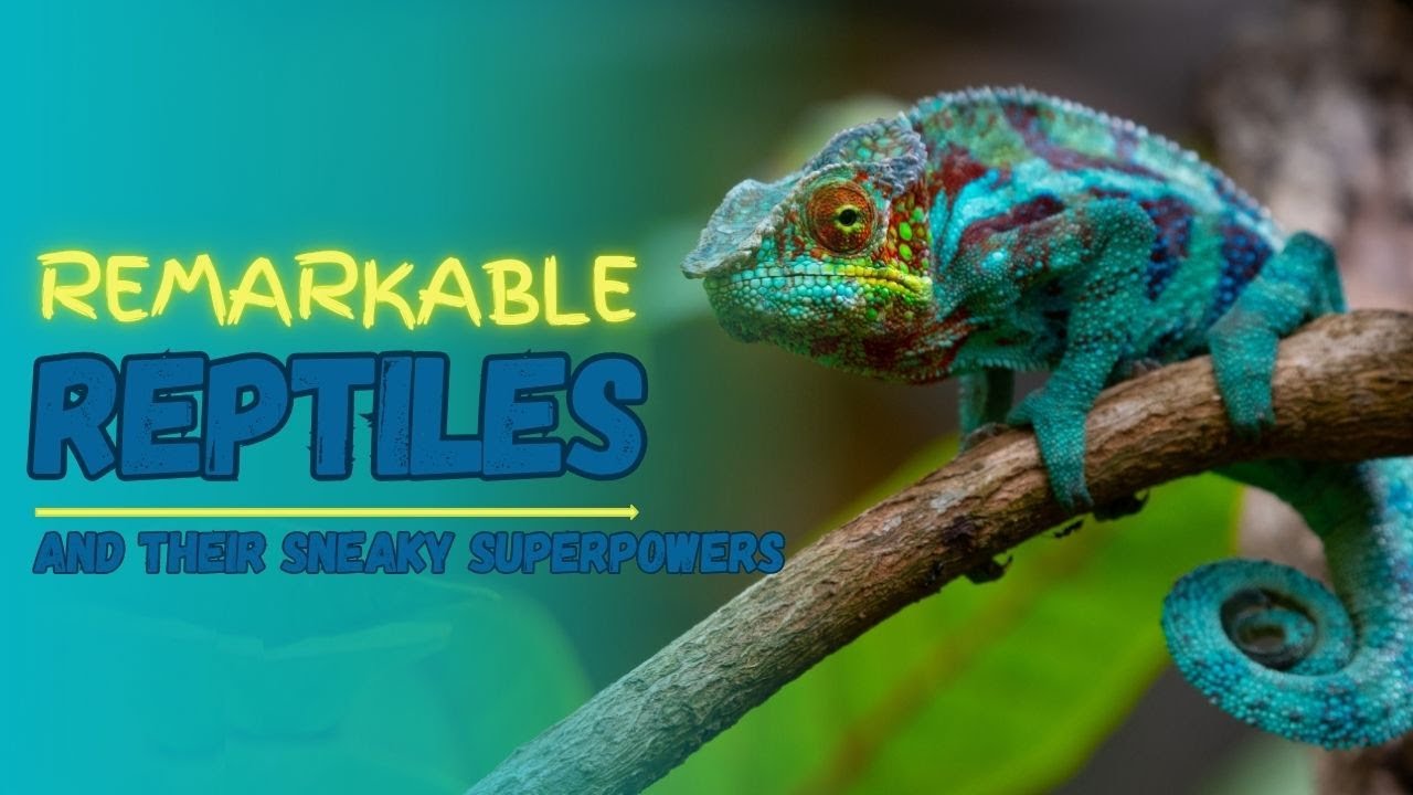 Remarkable Reptiles and Their Sneaky Superpowers