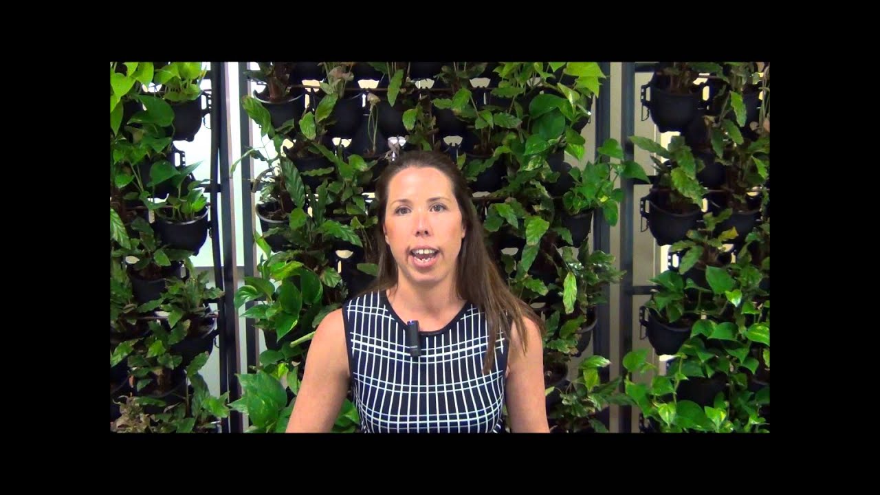 Furthering  your career with LIV Accredited Specialisation
