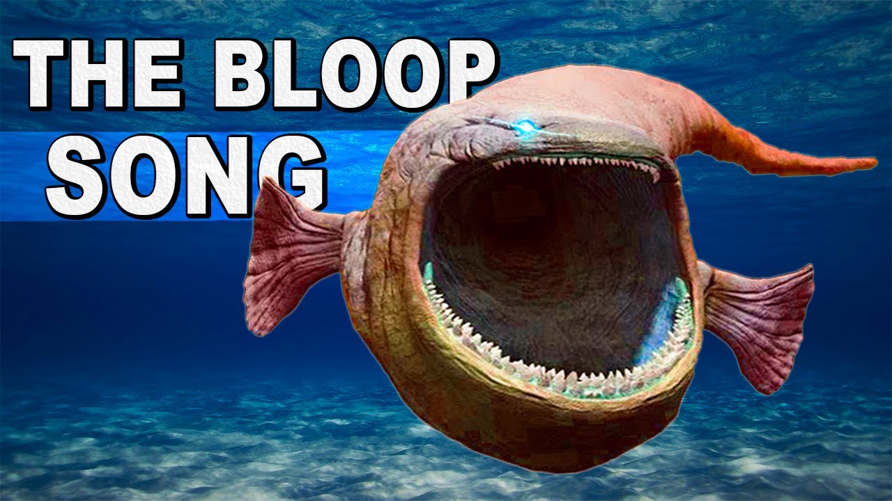 THE BLOOP SONG - El gran maja story (Sea Monster)