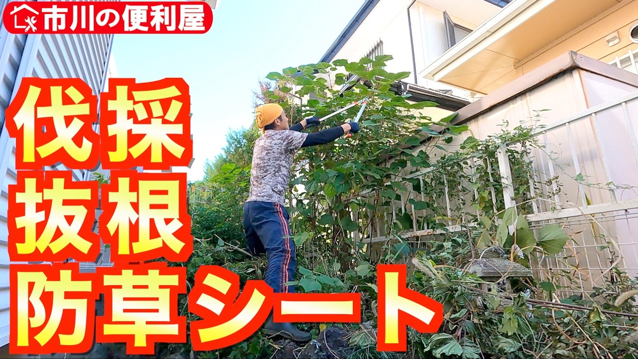 伐採🌳抜根🌲整地☘️防草シート【30㎡花壇に防草シート】土漏れ出し防止縁石ブロック再設置🌸｜千葉県市川市の便利屋！各作業料一覧、お問い合わせ先は概要欄をご覧下さい！