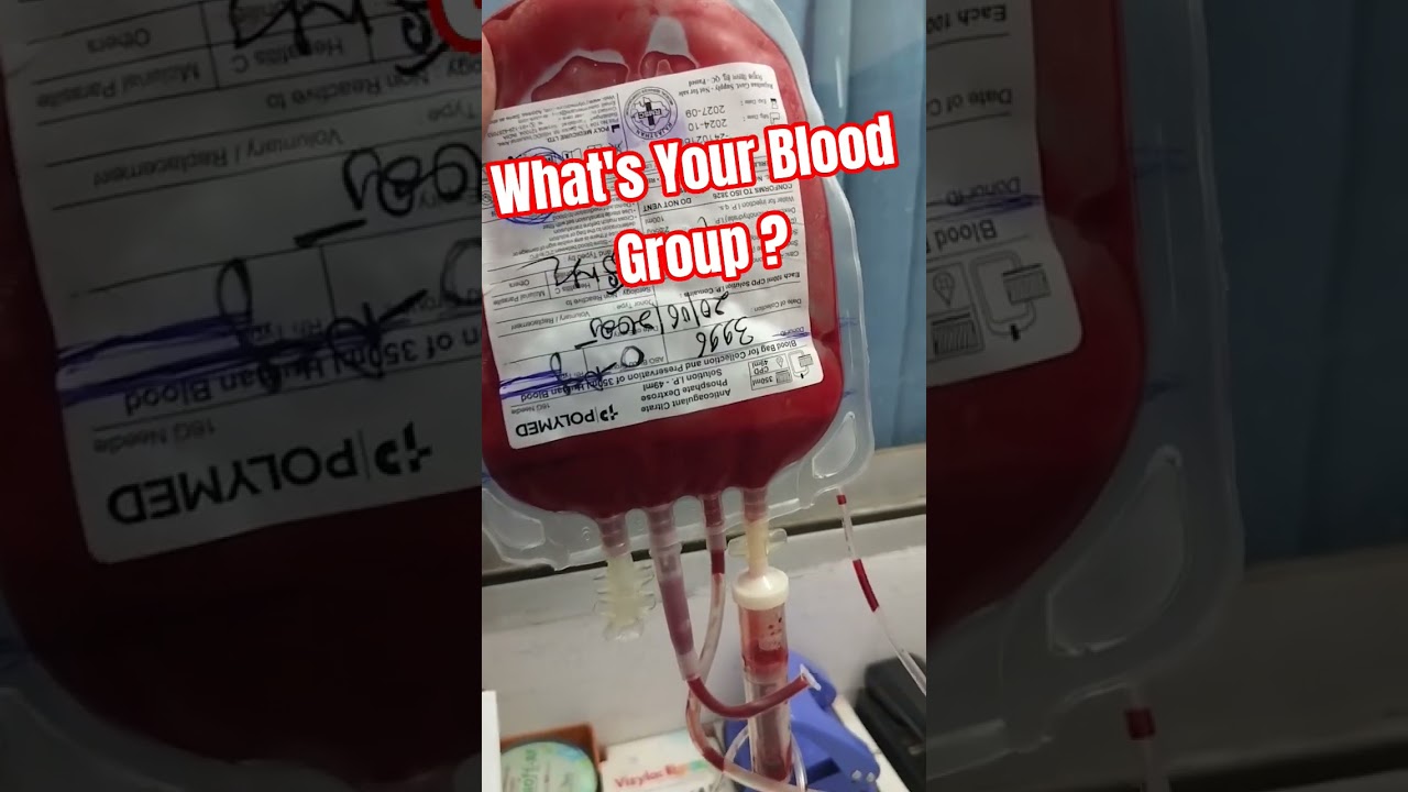 Your Blood Group 🩸🤔 #ytshorts #nursinglife #nursingofficer #bloodbag #aiimsjobs #hospitallife