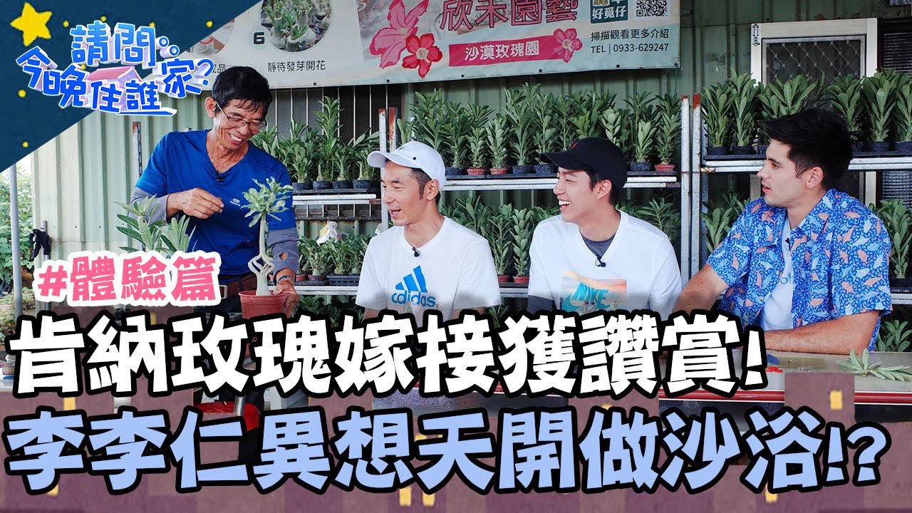 肯納玫瑰嫁接獲讚賞！李李仁異想天開做沙浴！？【請問今晚住誰家】體驗篇 20200720 EP197 Part2 蔡凡熙 李李仁 肯納