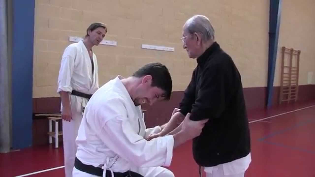 Curso Harada Sensei Sevilla 2015