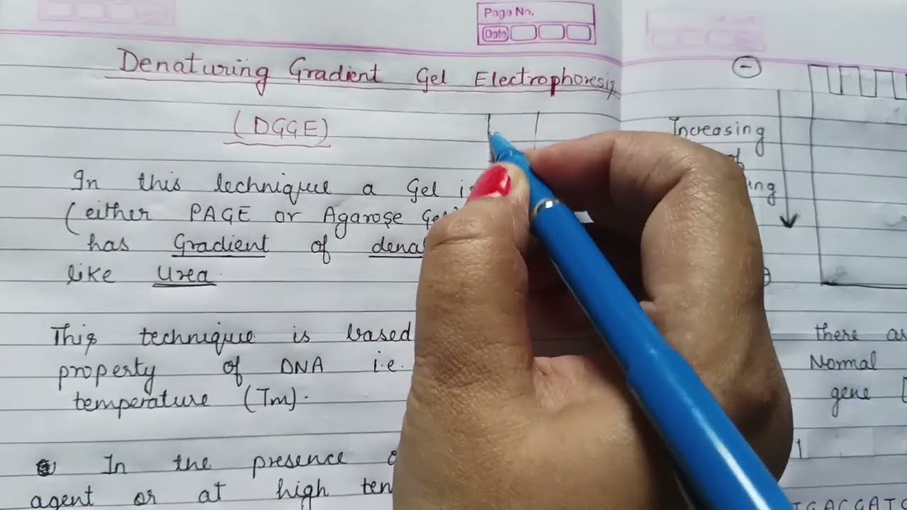 Denaturing Gradient Gel Electrophoresis (DGGE)