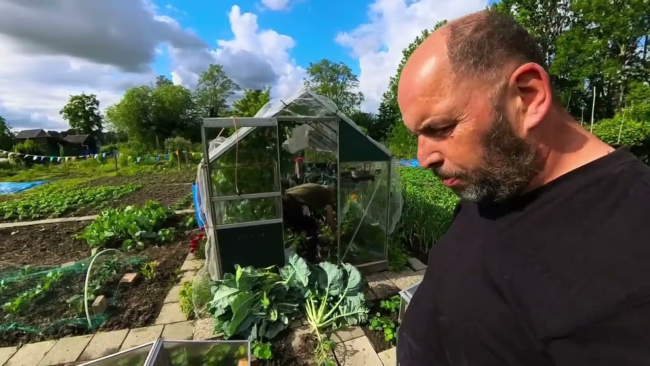 De moestuin in Mei
