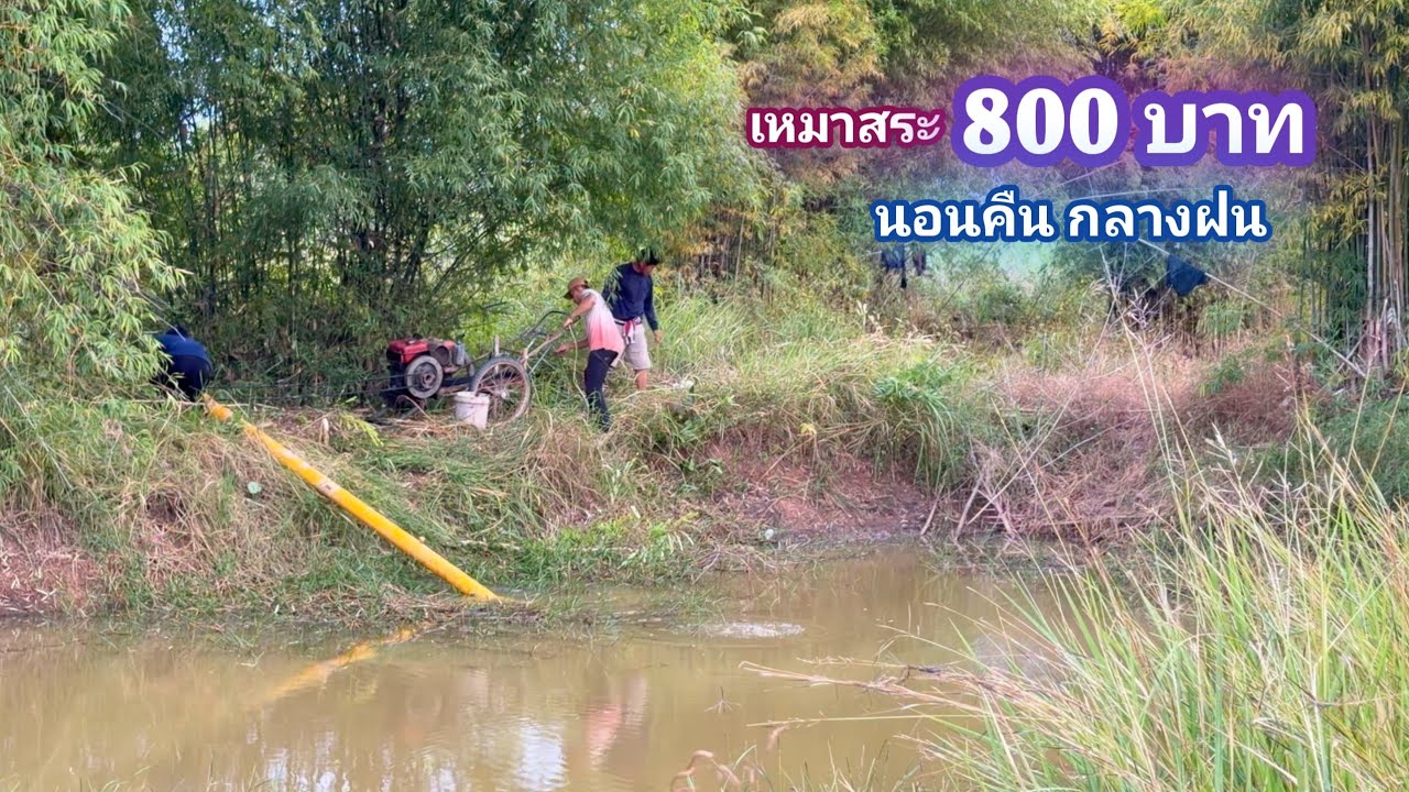เหมาสระ 800 บาท ดังหนูนอนคืน กลางสายฝน / บ้านนอก EP.1,002