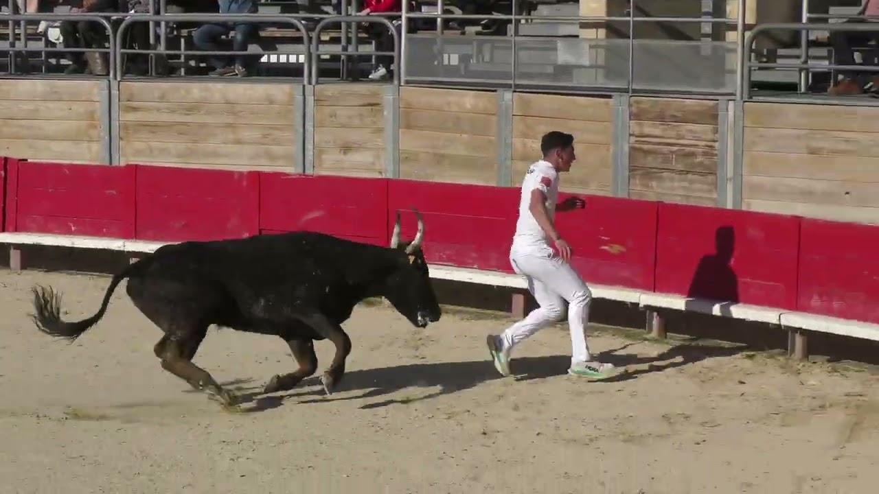 VENDARGUES (03/04/2024) - Le résumé de la course