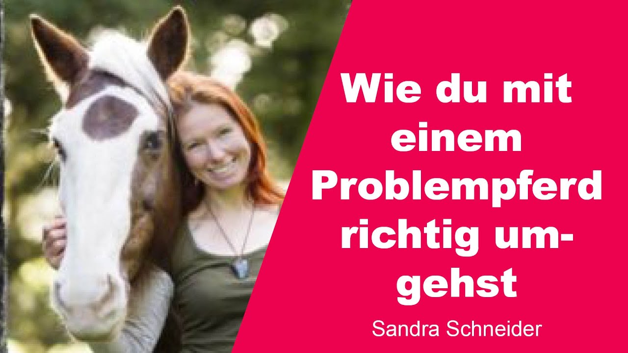 Wie du mit einem Problempferd richtig umgehst - Sandra Schneider - 1