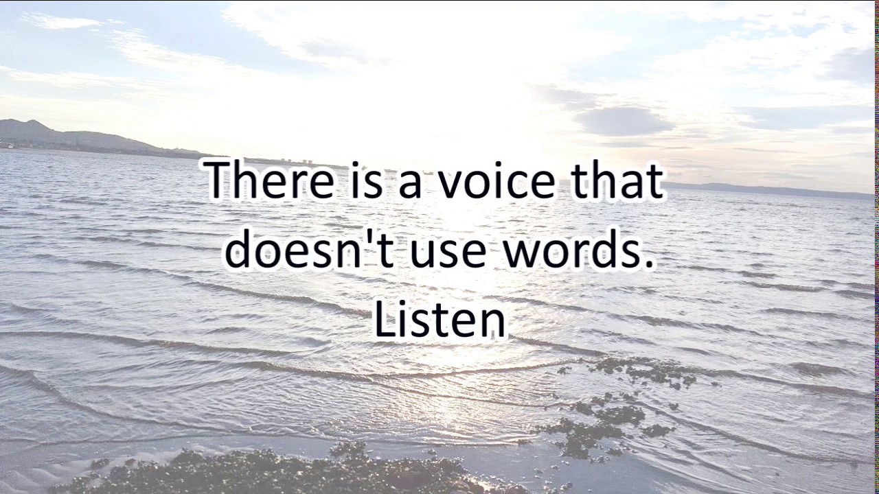 Increase Your Wisdom Today - Motivational Quotes about WISDOM