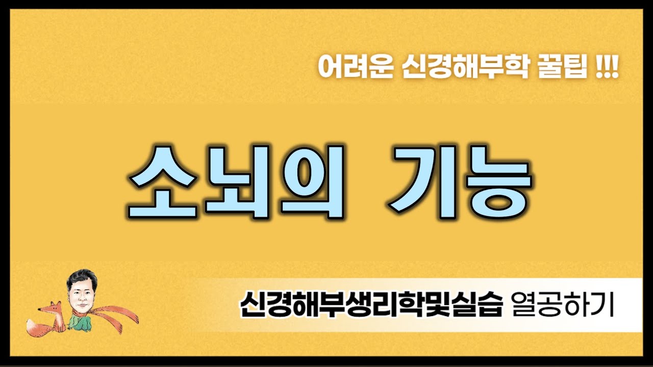 18.  소뇌의 기능