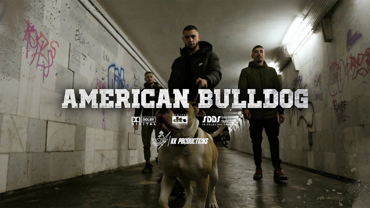 YMJ - AMERICAN BULLDOG / АМЕРИКАНСКИ БУЛДОГ [OFFICIAL VIDEO] [PROD.BY RUSTY]