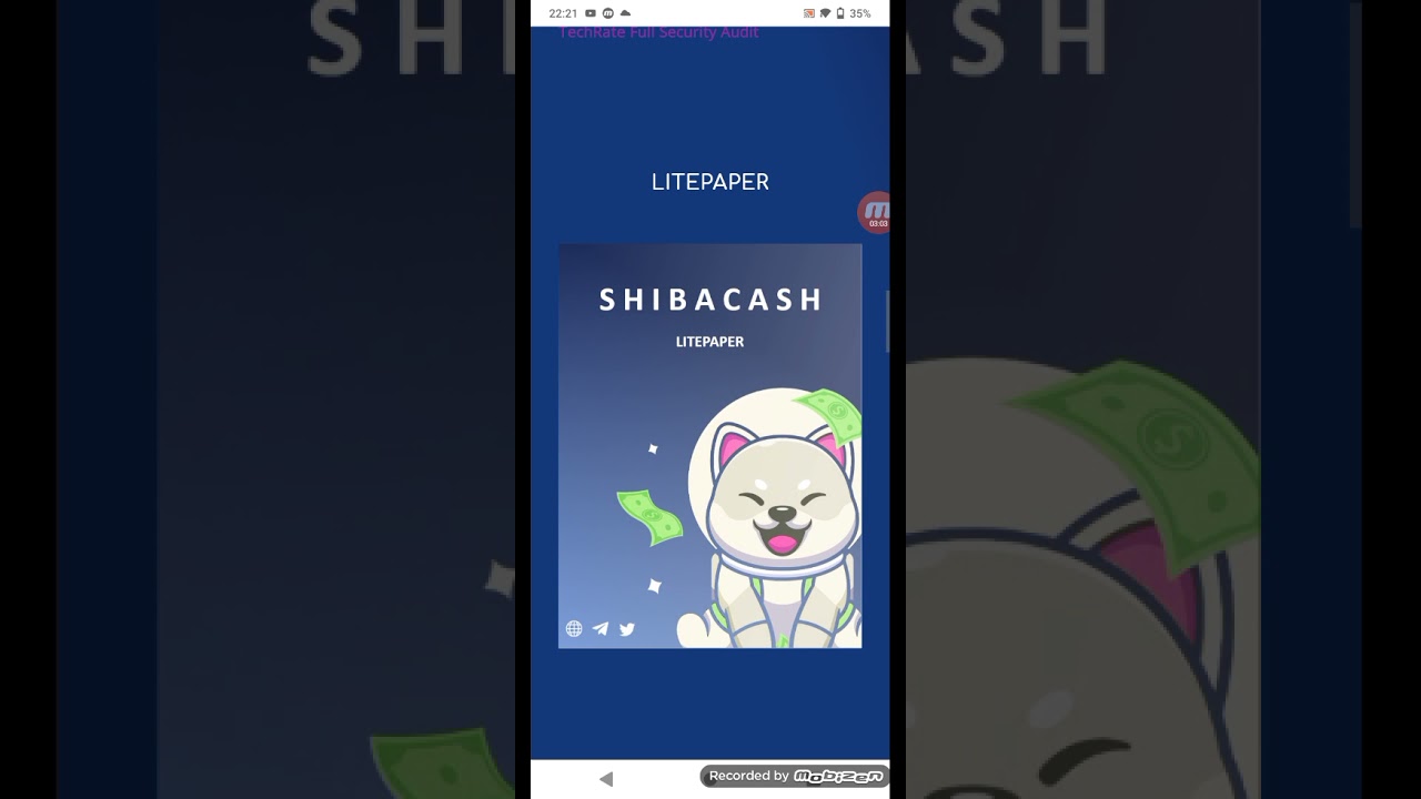 New token shiba cash token full review 2021