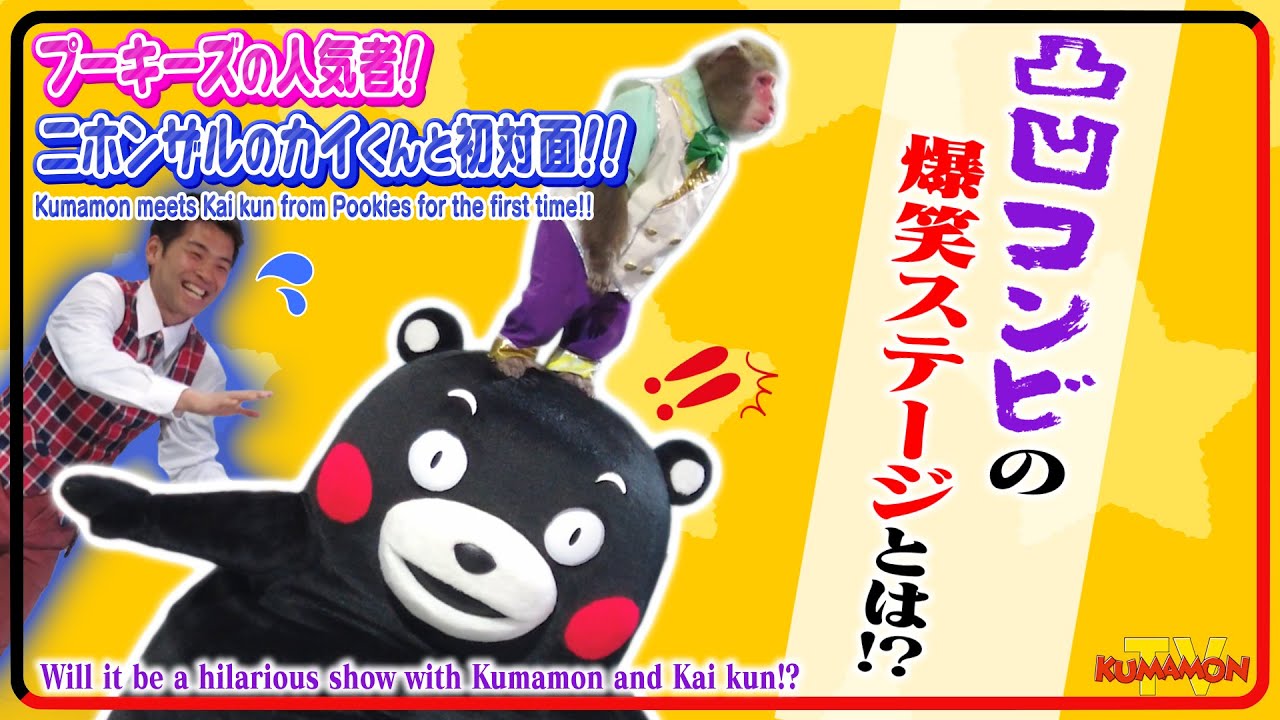 くまモンTV ♯ 266 阿蘇カドリー・ドミニオン「プーキーズ」の人気者ニホンザルのカイくんとくまモンが爆笑初対面！(Kumamon TV ♯266)