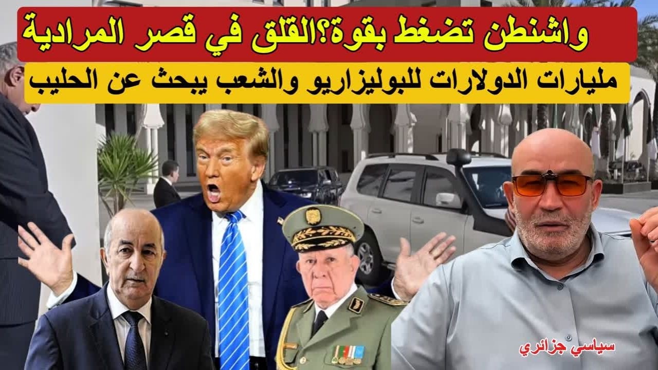 واشنطن تضغط بقوة؟القلق في قصر المرادية ! مليارات الدولارات للبوليزاريو والشعب يبحث عن الحليب