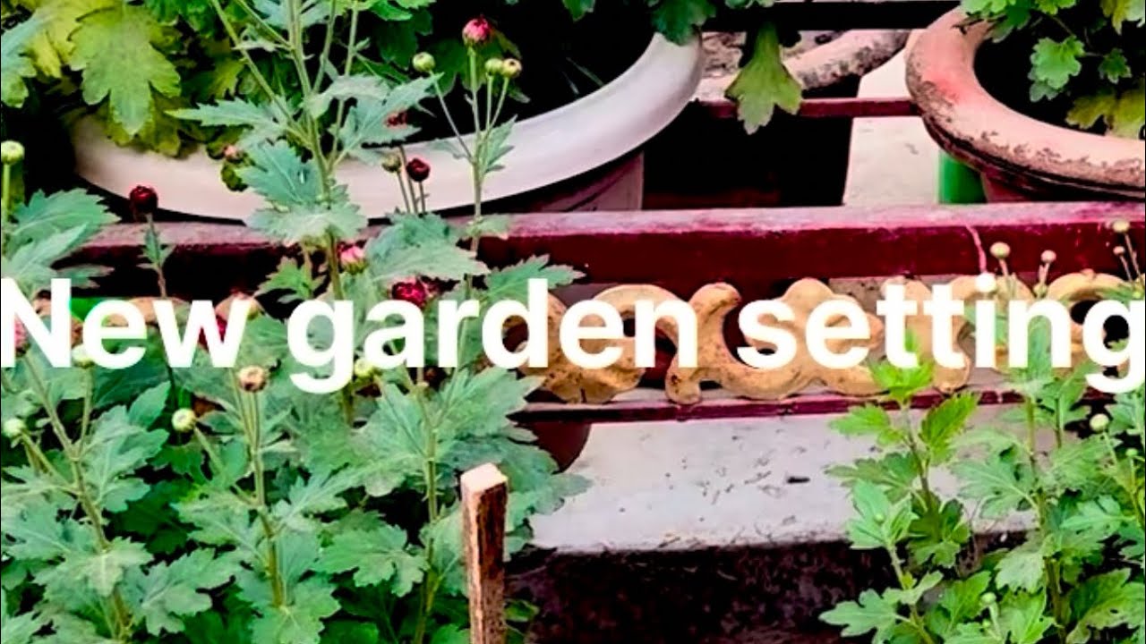 New garden setting#gardening #gardenflowers #naturelovers #nature # viral# video 