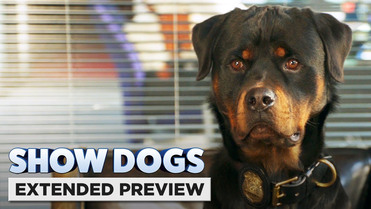 Show Dogs | 