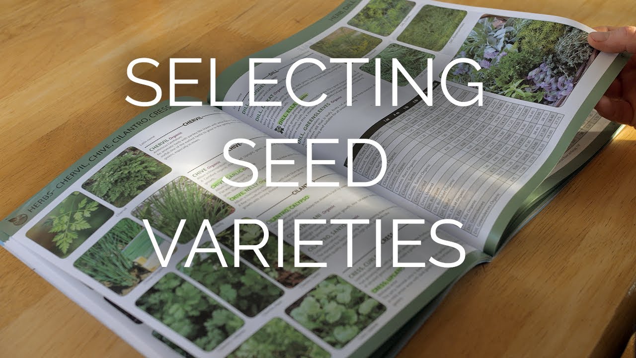 How to Select Seed Varieties
