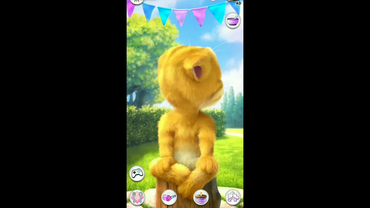 Talking Ginger Live Streaming