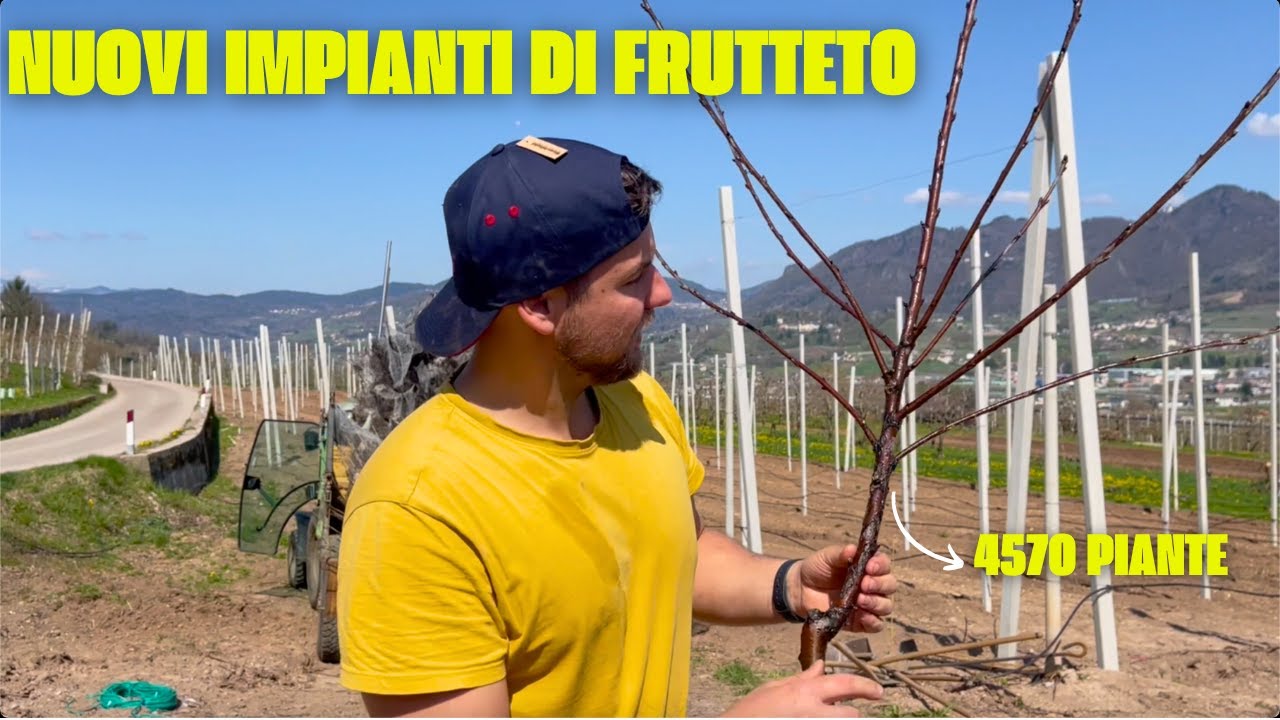 ho MESSO a DIMORA 4570 PIANTE