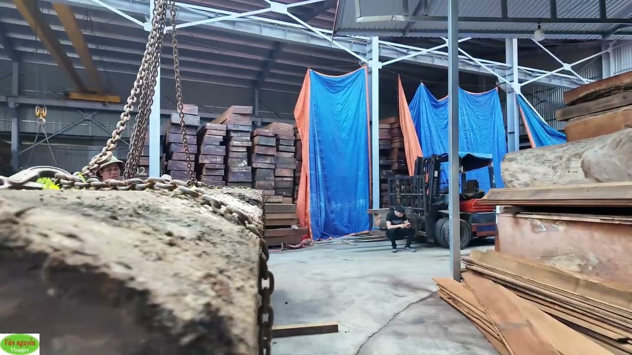 Những ưu điểm của gỗ D&acirc;u Nam phi trong thi c&ocirc;ng, chế biến nội thất nguy&ecirc;n khối, đồ gỗ gia dụng