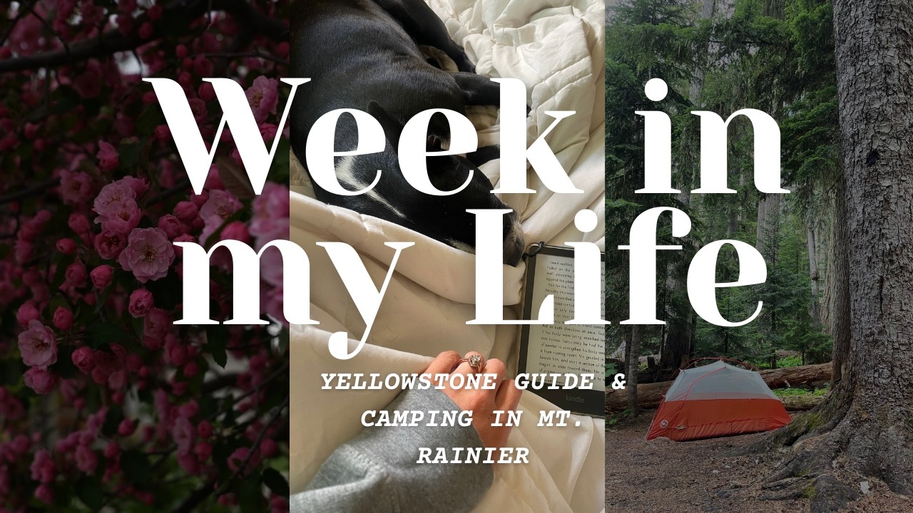 Week in My Life Vlog- Yellowstone Guide, Mt. Rainier Camping Trip, Life in Montana