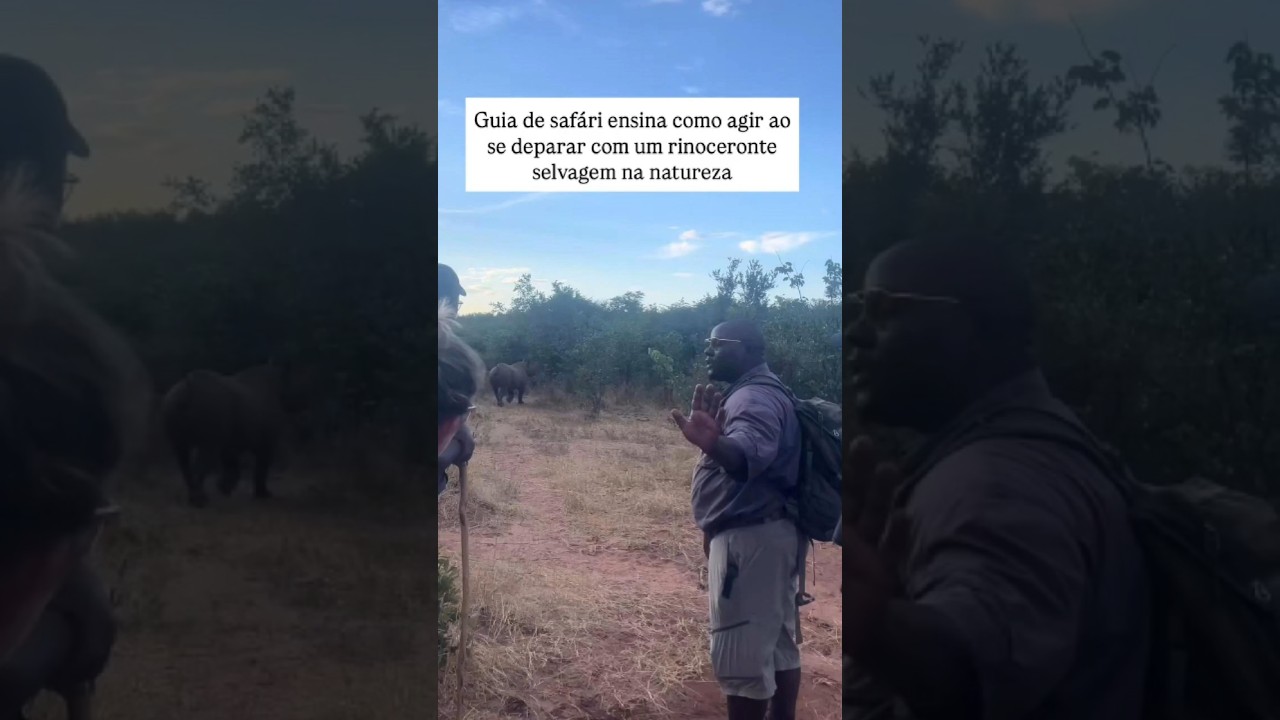 Guia ensina como agir ao se deparar com Rinoceronte Selvagem! 😱 #shorts #viralvideos #curiosidades
