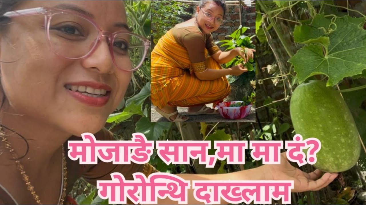 Sibirani Family/angnao ma ma dong