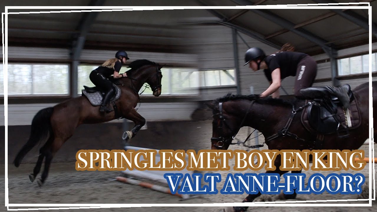 SPRINGLES MET BOY EN KING, VALT ANNE-FLOOR?! || Paardzoektbaas
