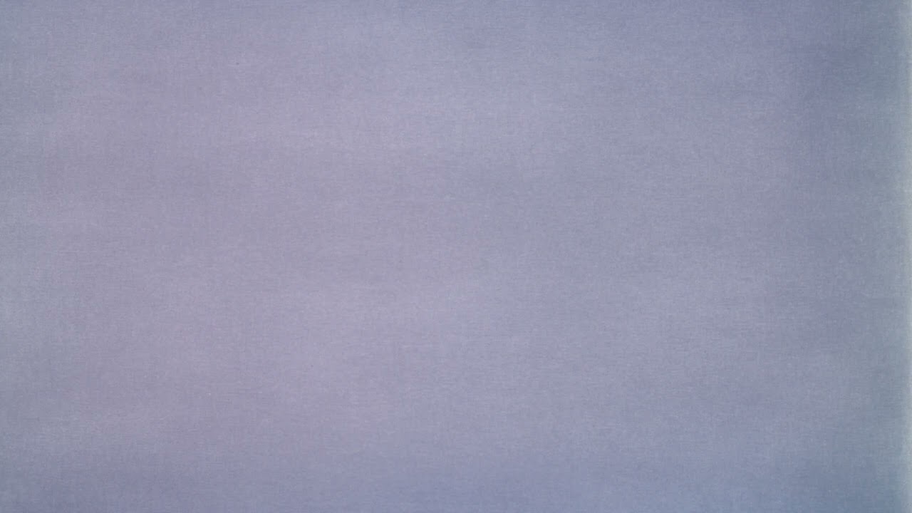 Focus Fields - LONGFORM: Pale Signal (4h) Pale Signal