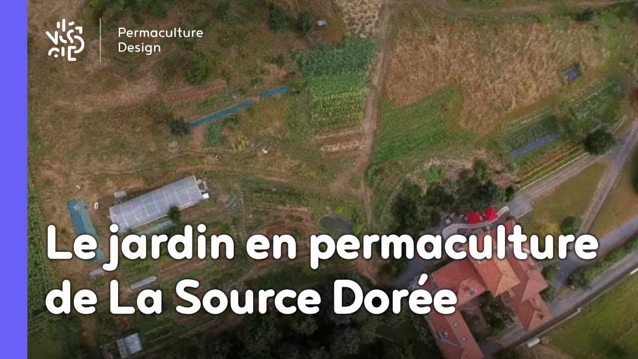 Un permaculteur, un jardin : Le jardin de la Source Dorée, du maraîchage à l'assiette