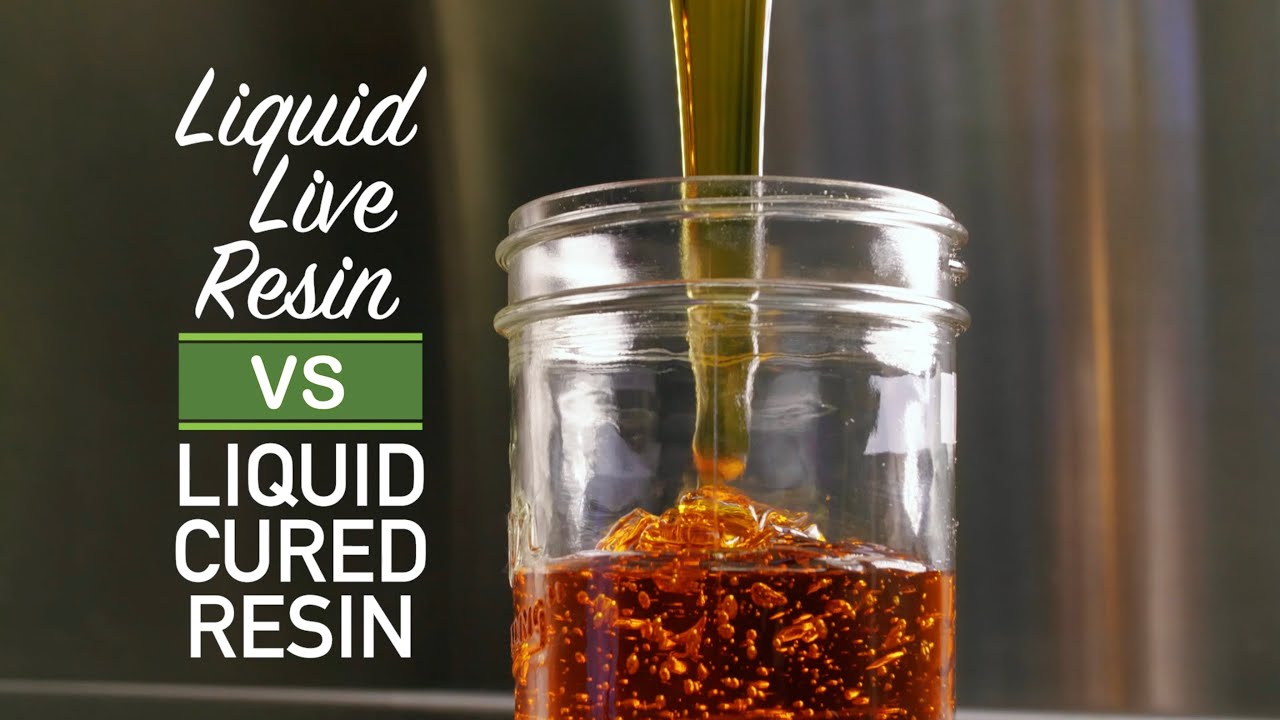 Willamette Valley Alchemy - Liquid Live Resin vs. Liquid Cured Resin Cartridges