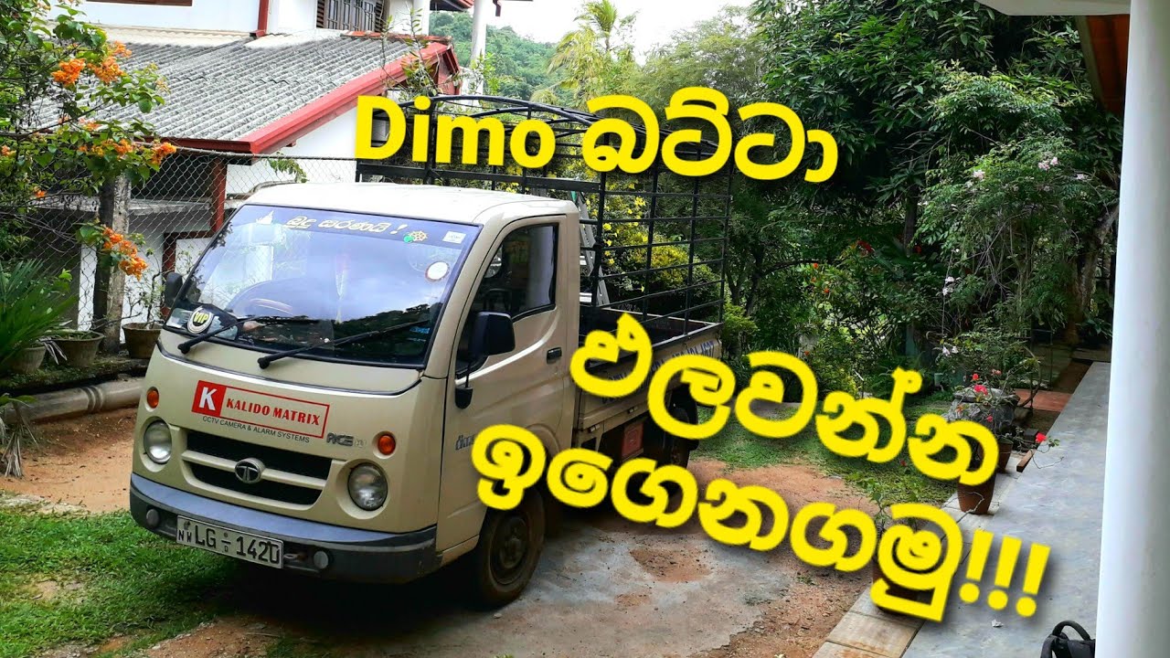 How to Drive Tata Dimo Batta Lorry |  Sinhala