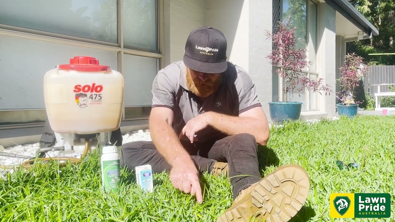 Get Rid Of Nutgrass In Your Lawn