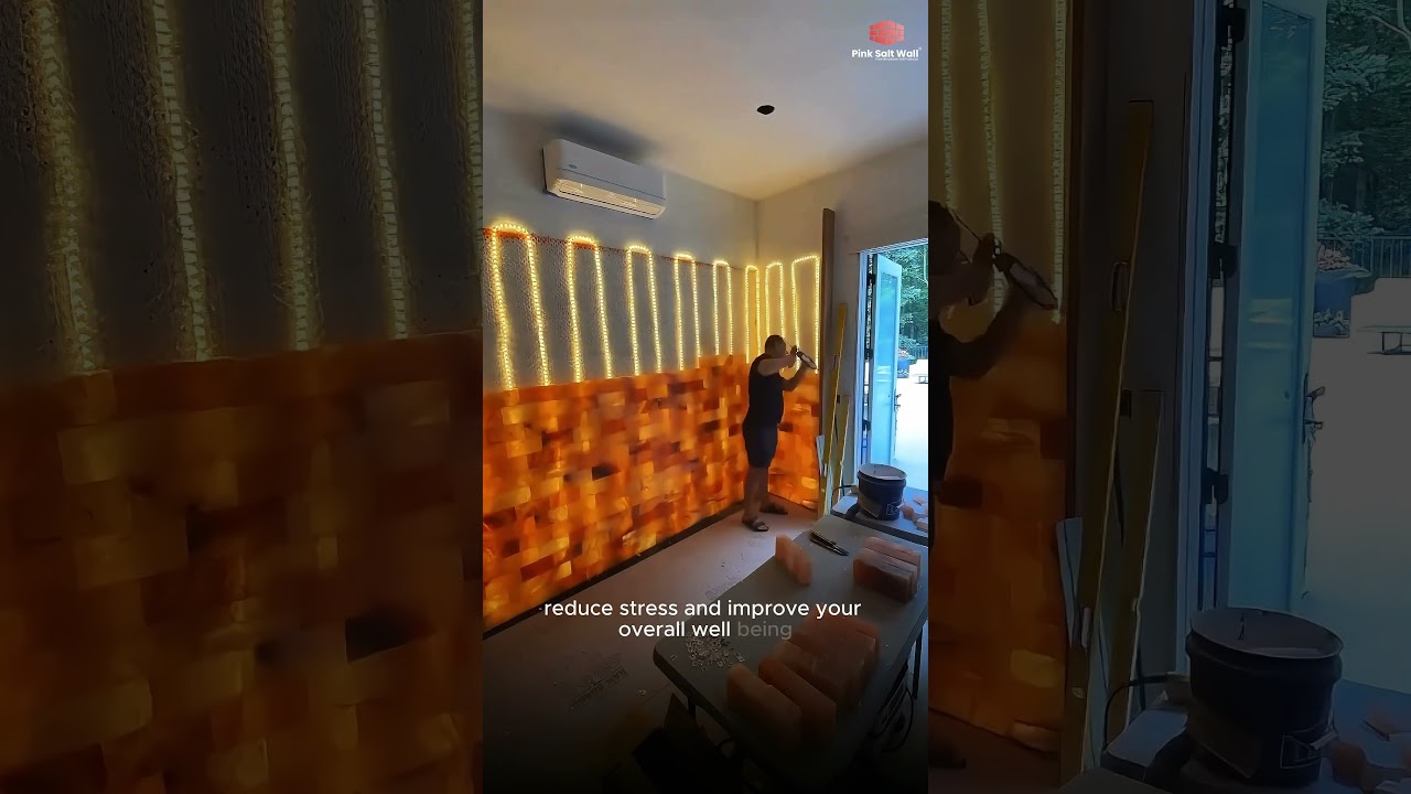 Build a salt Wall That Cleans Your Air! (Here&rsquo;s How)