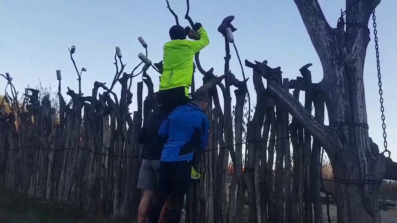 Run #Runner #Гули Херма 5 апреля 2020#BrestRunners #triathlon #marathon #TrailRunning