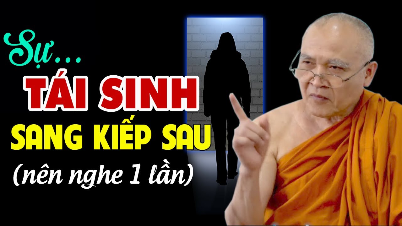 Sau khi chết cái gì DẪN DẮT con người ĐI TÁI SINH sang kiếp sau? - Hòa Thượng Pháp Tông thuyết giảng
