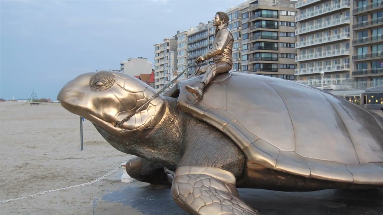 The Spiritual Connection Between Man and Sea Turtle