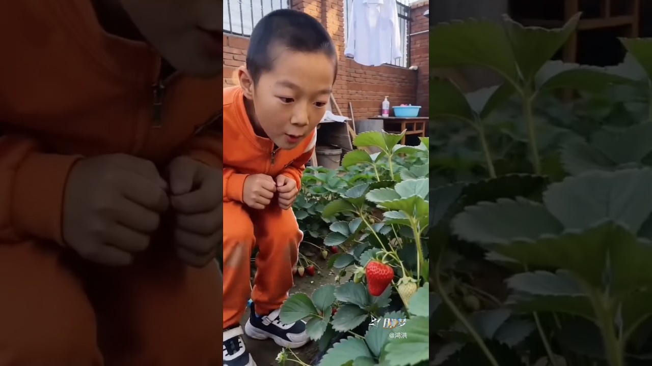 I secretly ate Mommy's strawberry 😂~ Carriage House wooden artist/ #shorts #cartoon #shortvideo