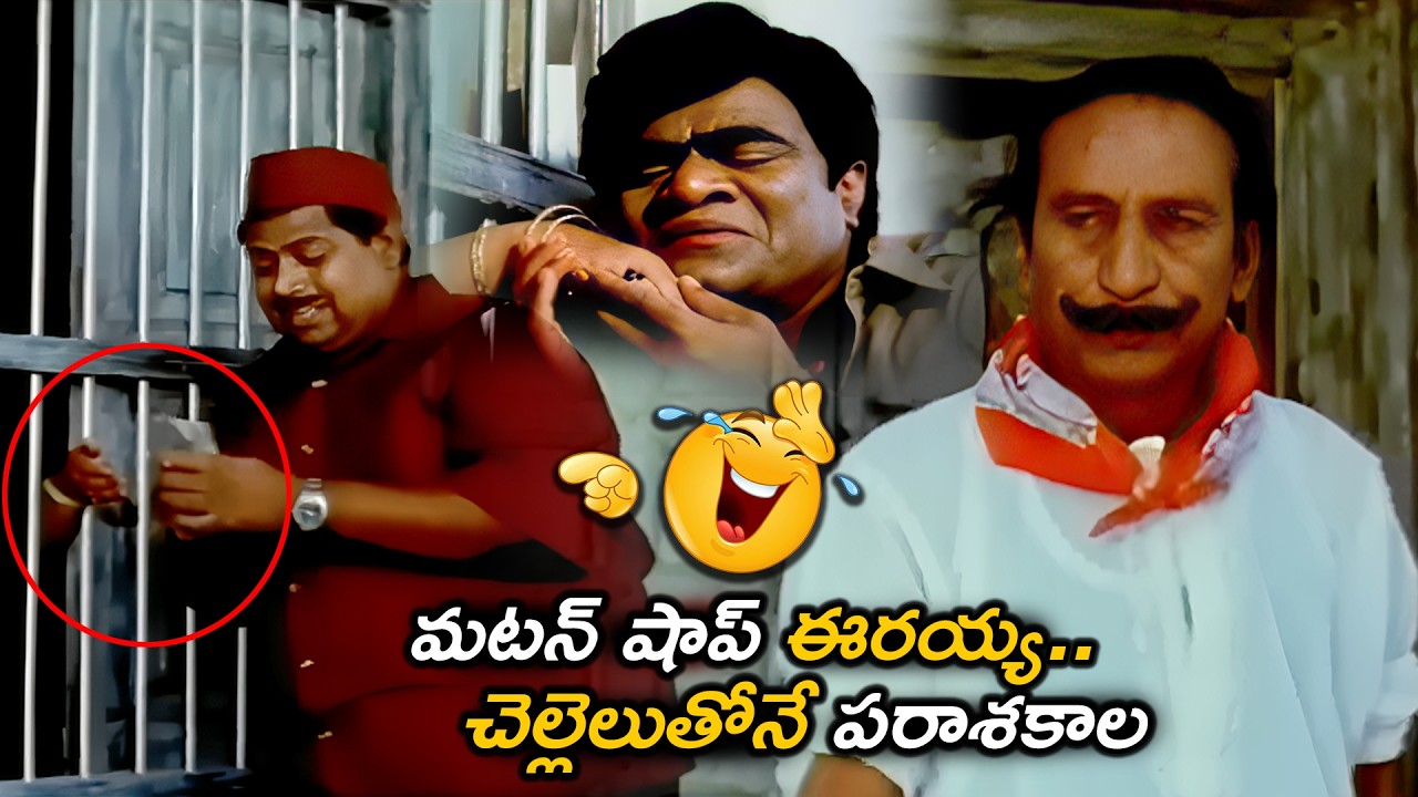 మటన్ షాప్ ఈరయ్య చెల్లెలుతోనే  పరాశకాల.. | Babu Mohan And IRon Leg Sastry Comedy Scenes
