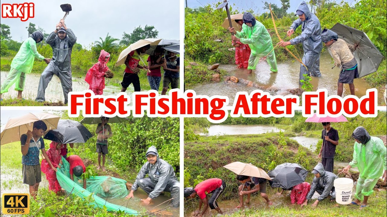बाढ़ के बाद मछली पकड़ने की कोशिश…🐠🐠|| Traditional Village Fishing 🎣| Village River Fishing Video |