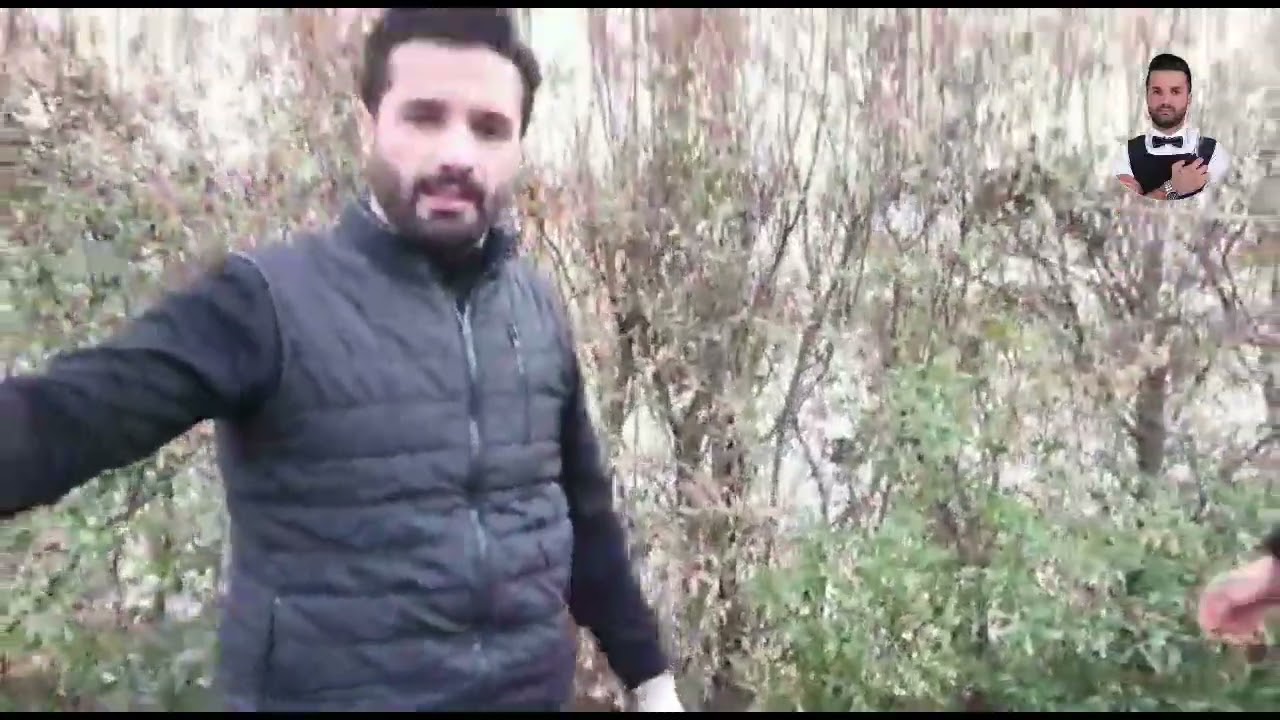گواستنەوەی دار لەشوێنێک بۆشوێنێکی تر سەرکەوتوانە#shahab halaq#شهاب حلاق