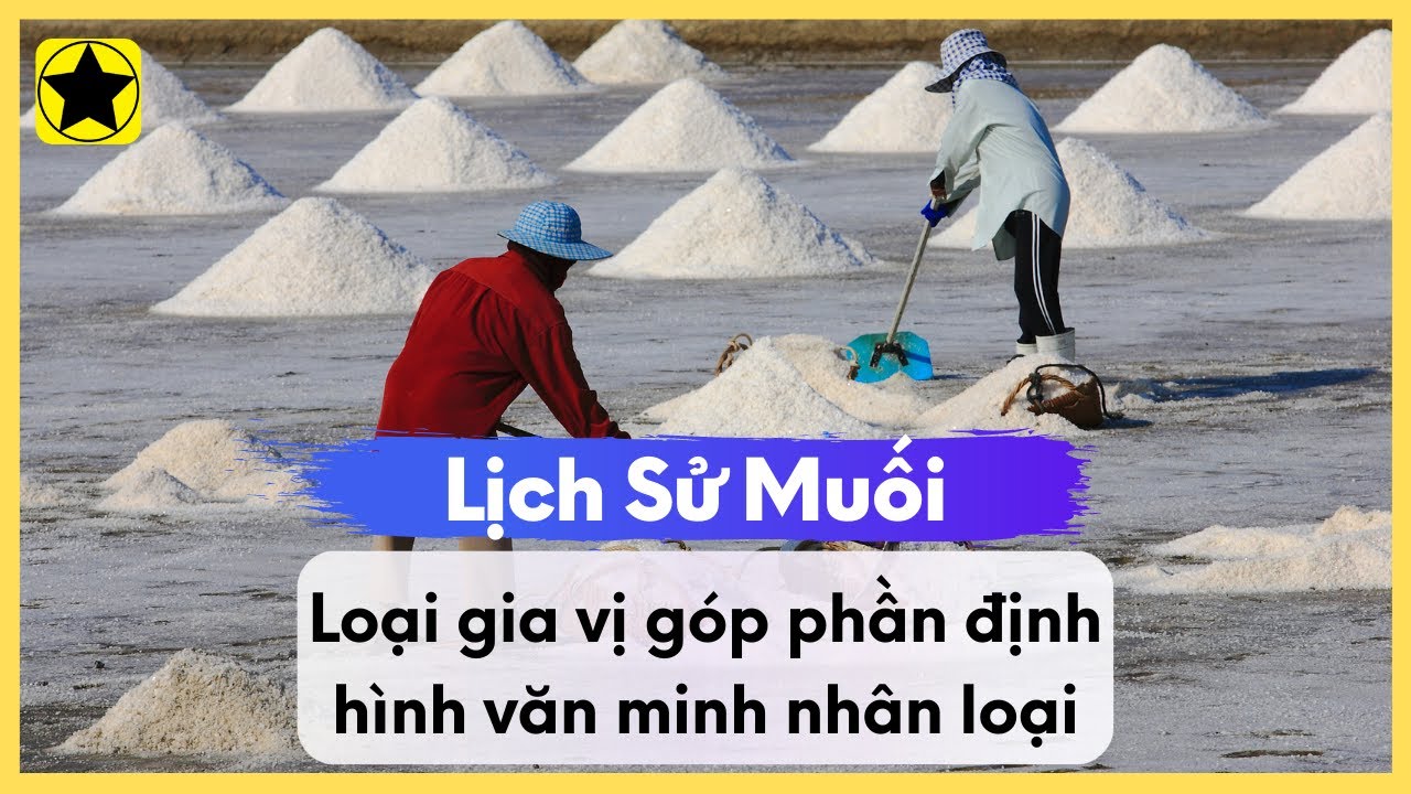 Lịch Sử Muối - Loại Gia Vị Góp Phần Định Hình Văn Minh Nhân Loại