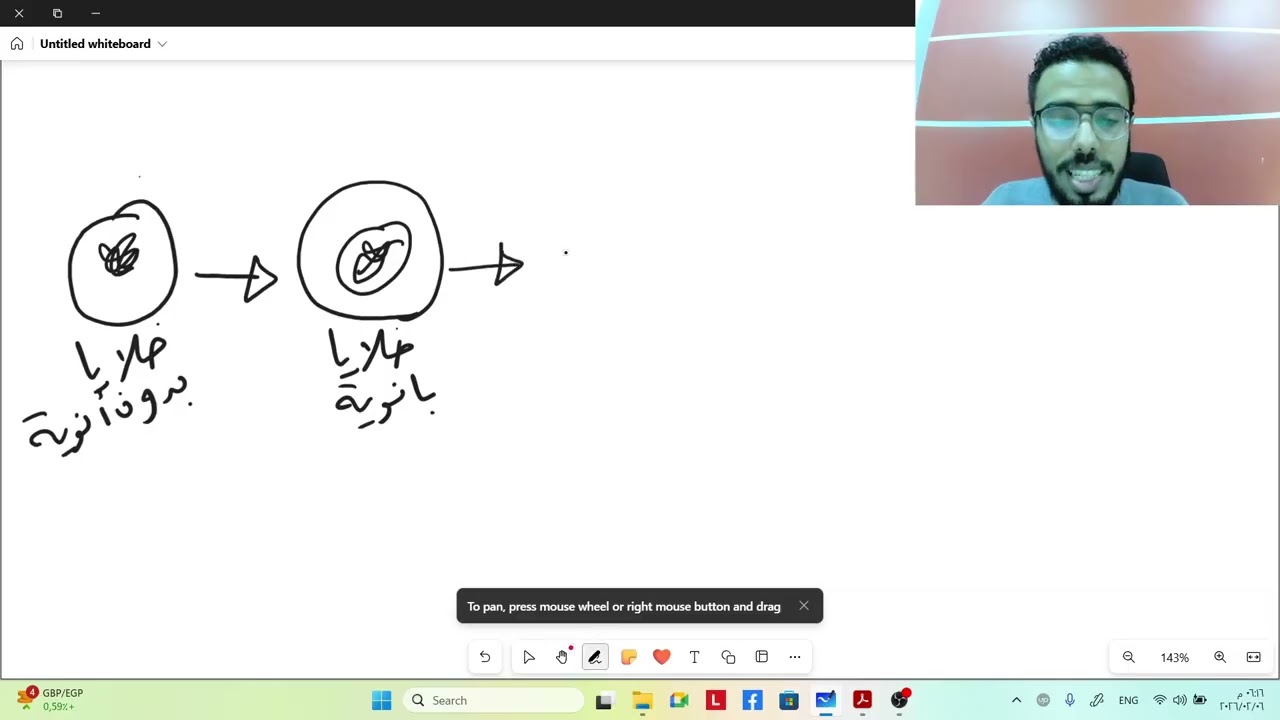 Introduction to Microbiology (Eukaryotes vs Prokaryotes)