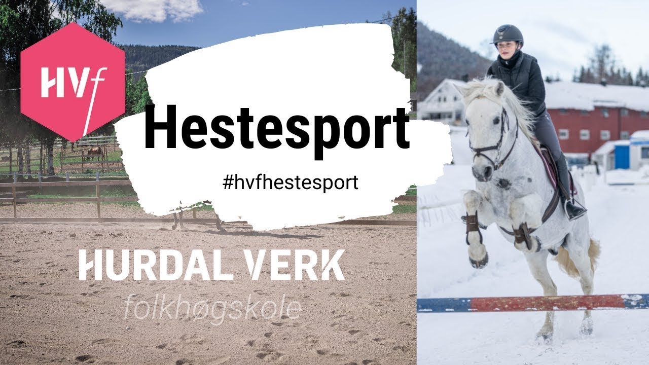 Hestesport på Hurdal verk Folkehøgskole